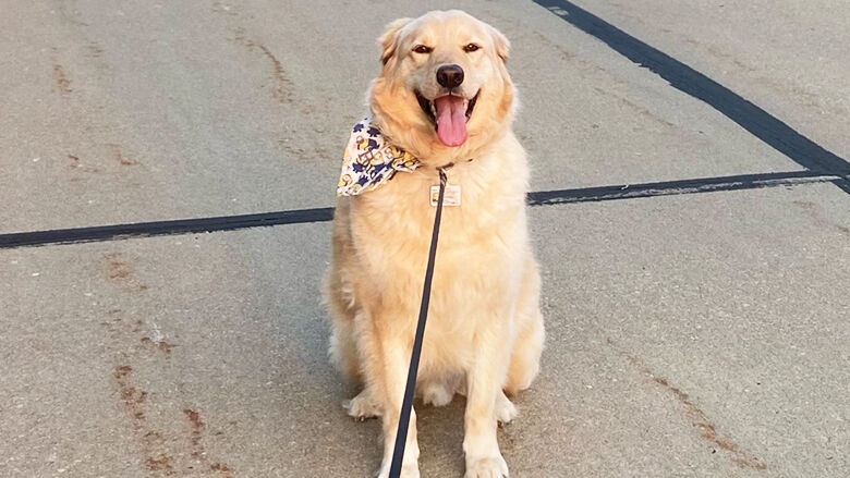 Pet spot: Rudy likes to hang out with his dog sister
